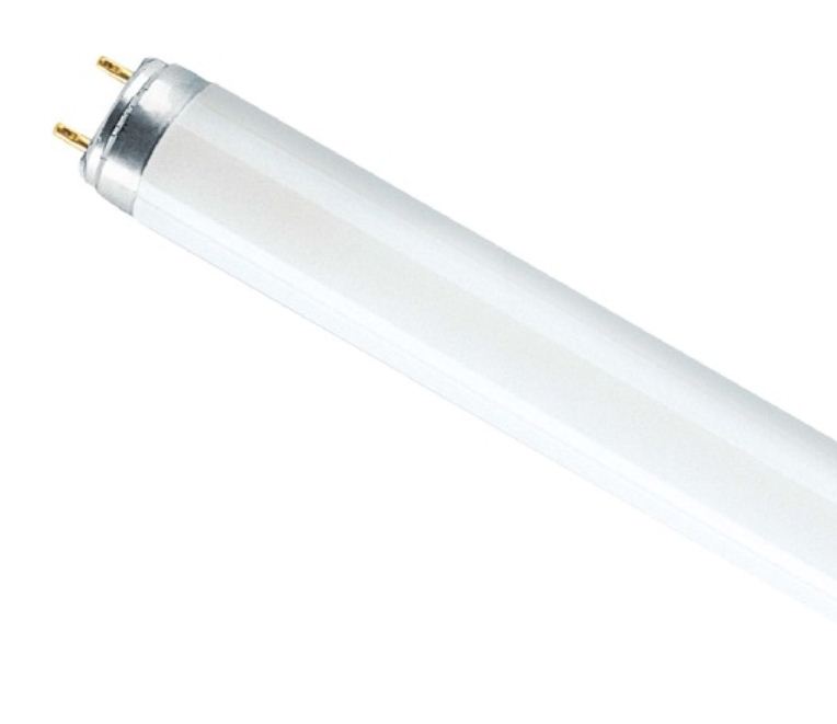Osram Лампа люминесцентная L 18W/765 T8 G13