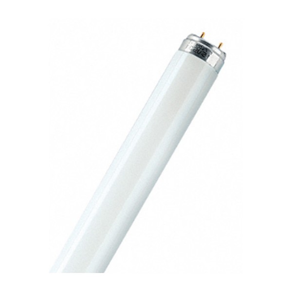 Osram T8 BASIC Лампа люминесцентная линейная 30Вт G13