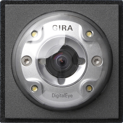 Gira TX-44 Антрацит Видеокамера цветная для вызывной панели