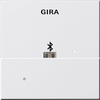 Gira S-55 Бел глянц Адаптер USB Mikro-B для вставки док-станции