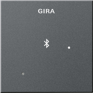 Gira System 55 Глухая крышка Док-станция  "антрацит"