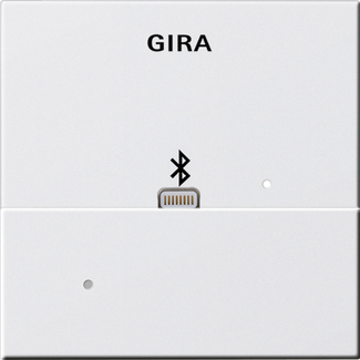 Gira S-55 Бел глянц Адаптер Apple Lightning для вставки док-станции